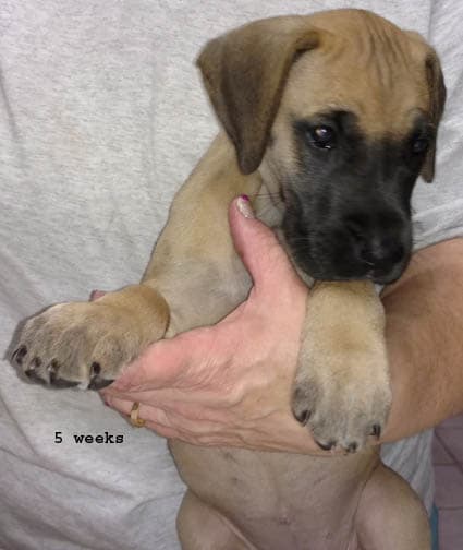 Wilma, photo 30