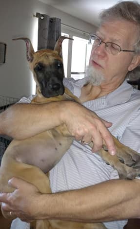 Wilma, photo 13