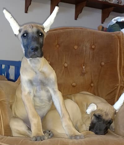 Wilma, photo 10