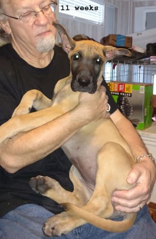 Wilma, photo 7