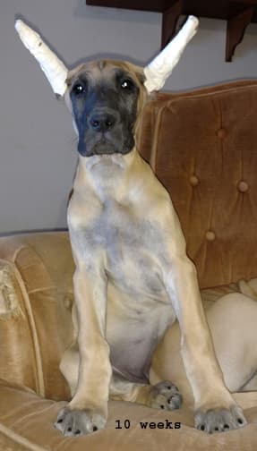 Wilma, photo 11