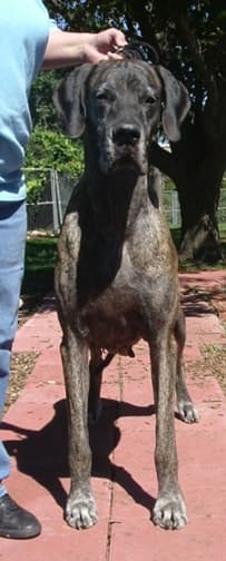 Clea, photo 5