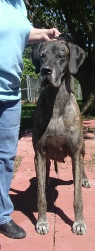 Clea, photo 6