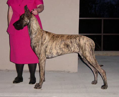 Cadence, photo 4