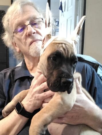 Patina Rebel Jan 2021 Pup 7 F Boy, photo 7