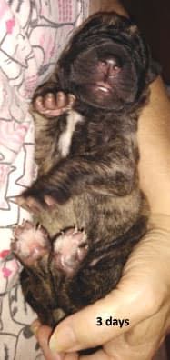 Kiani, photo 107