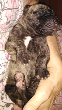 Kiani, photo 108