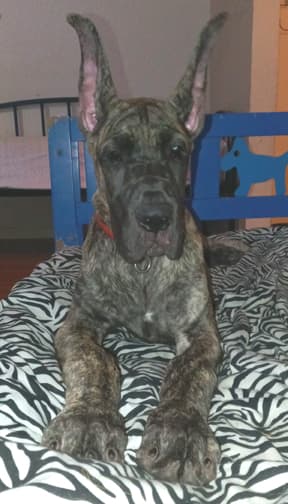 Nikita, photo 21