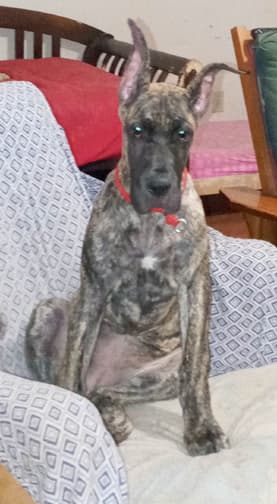Nikita, photo 20