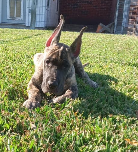 Nikita, photo 36