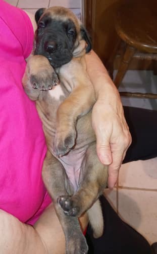 Catrinka, photo 59