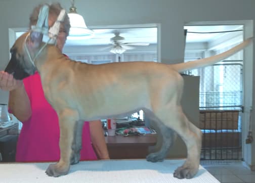Catrinka, photo 17