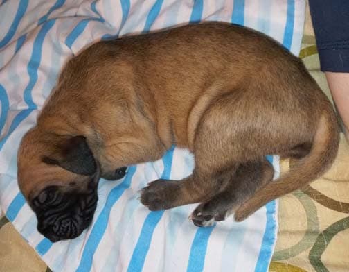 Catrinka, photo 76