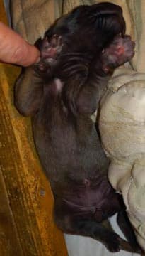 Maggie, photo 68