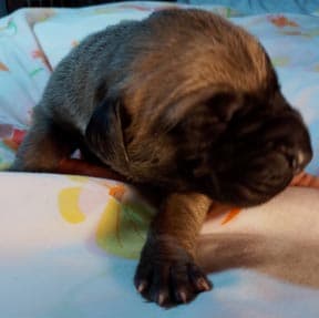 Edge, photo 66