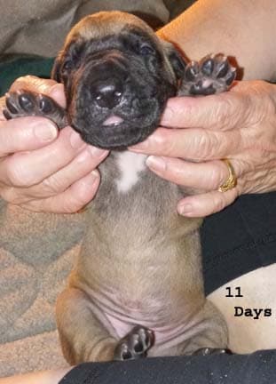 Seger, photo 52