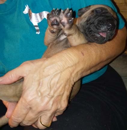 Seger, photo 54