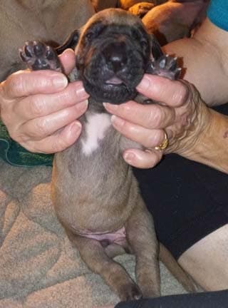 Seger, photo 55