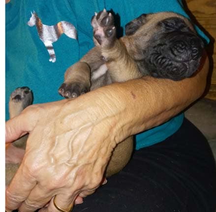 Seger, photo 57