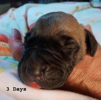 Seger, photo 58